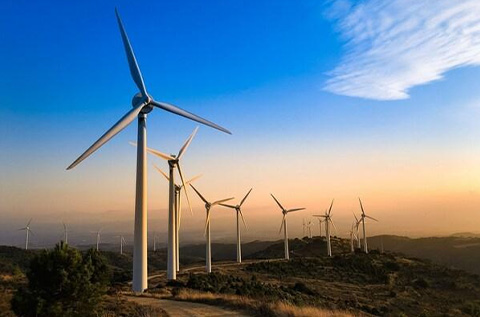 如何根据加工需求选择合适的蜗杆磨砂轮规格？